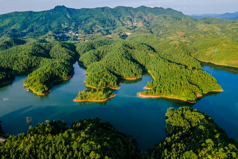 生态治理